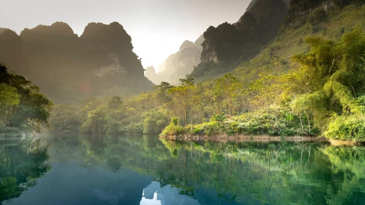 创意科技高标准